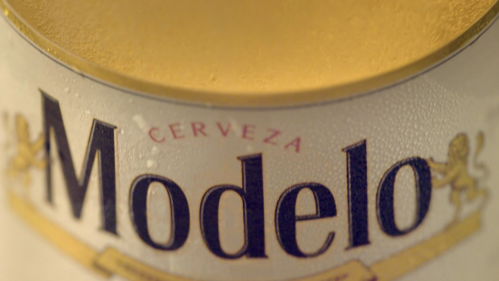 Modelo — We're Excited Too — still